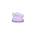 Ditto w grze Pokemon Alpha Sapphire