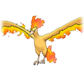 Moltres w grze Omega Ruby / Alpha Sapphire