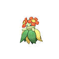 Bellossom w grze Omega Ruby / Alpha Sapphire
