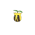 Sunkern w grze Pokemon Alpha Sapphire