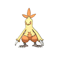 Combusken w grze Omega Ruby / Alpha Sapphire