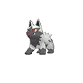 Poochyena w grze Pokemon Alpha Sapphire