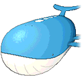 Wailord w grze Omega Ruby / Alpha Sapphire