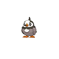 Starly w grze Omega Ruby / Alpha Sapphire