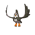 Staravia w grze Omega Ruby / Alpha Sapphire