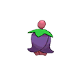 Cherrim w grze Pokemon Alpha Sapphire