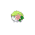 Shaymin w grze Omega Ruby / Alpha Sapphire