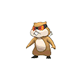 Patrat w grze Omega Ruby / Alpha Sapphire