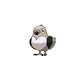 Pidove w grze Omega Ruby / Alpha Sapphire