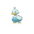 Ducklett w grze Omega Ruby / Alpha Sapphire