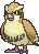 Pidgey w grze Pokemon X