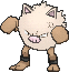 Primeape w grze X / Y