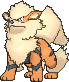 Arcanine w grze X / Y