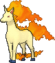Rapidash w grze X / Y
