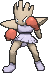 Hitmonchan w grze X / Y