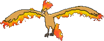 Moltres w grze Pokemon X
