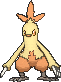 Combusken w grze X / Y