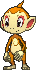 Chimchar w grze X / Y
