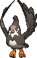 Staravia w grze X / Y