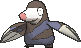 Drilbur w grze X / Y