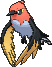 Fletchinder w grze X / Y