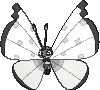 Vivillon w grze X / Y