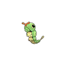 Caterpie w grze Pokemon Moon