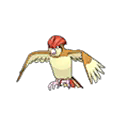 Pidgeotto w grze Ultra Sun / Ultra Moon