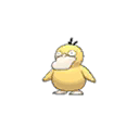 Psyduck w grze Pokemon Moon