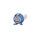 Poliwag w grze Pokemon Moon