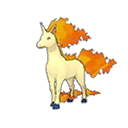 Rapidash w grze Ultra Sun / Ultra Moon