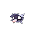 Shellder w grze Pokemon Moon
