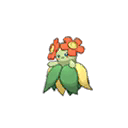 Bellossom w grze Ultra Sun / Ultra Moon