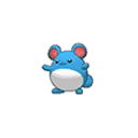 Marill w grze Pokemon Moon