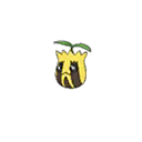 Sunkern w grze Ultra Sun / Ultra Moon