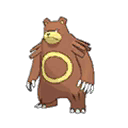 Ursaring w grze Ultra Sun / Ultra Moon