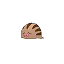 Swinub w grze Pokemon Moon