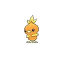 Torchic w grze Ultra Sun / Ultra Moon