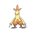 Combusken w grze Ultra Sun / Ultra Moon
