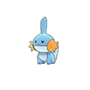 Mudkip w grze Ultra Sun / Ultra Moon