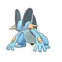 Swampert w grze Ultra Sun / Ultra Moon