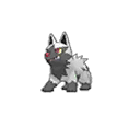 Poochyena w grze Ultra Sun / Ultra Moon