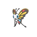Beautifly w grze Ultra Sun / Ultra Moon