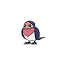 Taillow w grze Ultra Sun / Ultra Moon