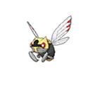 Ninjask w grze Ultra Sun / Ultra Moon