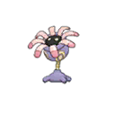 Lileep w grze Ultra Sun / Ultra Moon