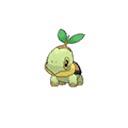 Turtwig w grze Ultra Sun / Ultra Moon