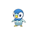 Piplup w grze Ultra Sun / Ultra Moon