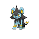 Luxio w grze Ultra Sun / Ultra Moon