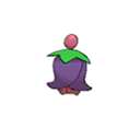 Cherrim w grze Ultra Sun / Ultra Moon